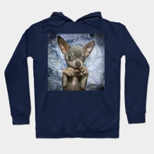 Cheeky Chihuahua Funny Face art design Hoodie